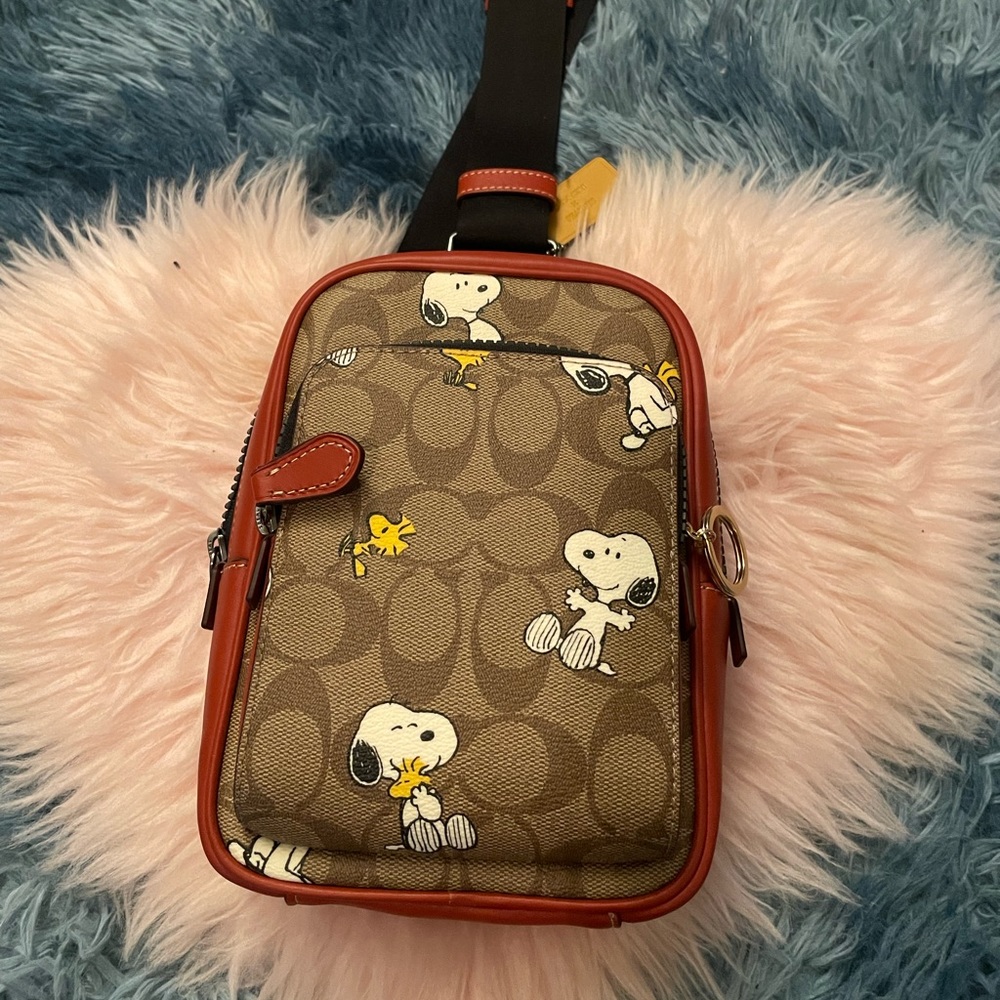 COACH crossbody peanuts bag